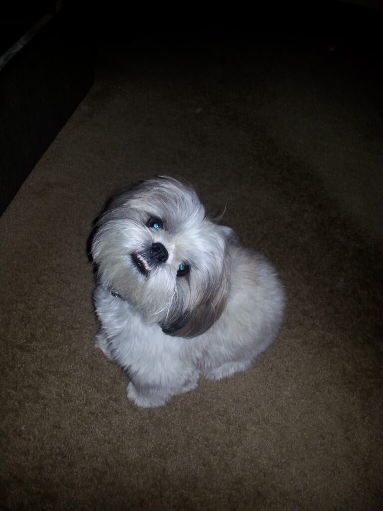 Louie — Louie / 05