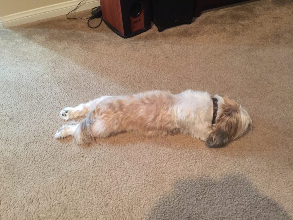 Louie — Louie / 07