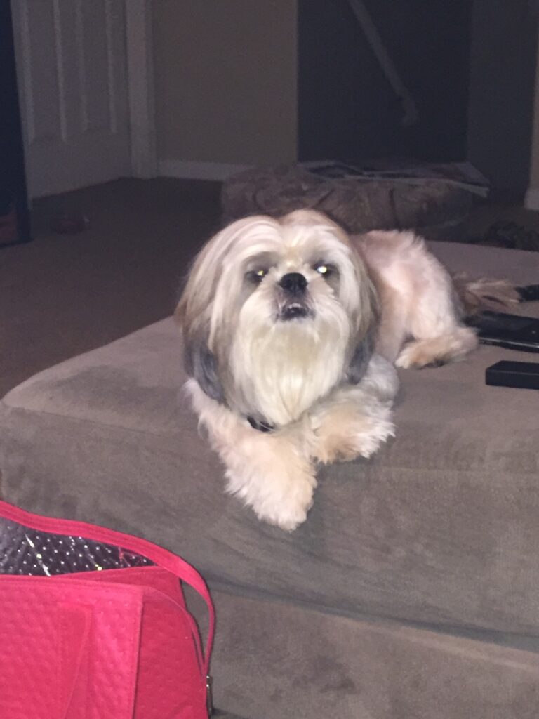 Louie — Louie / 10